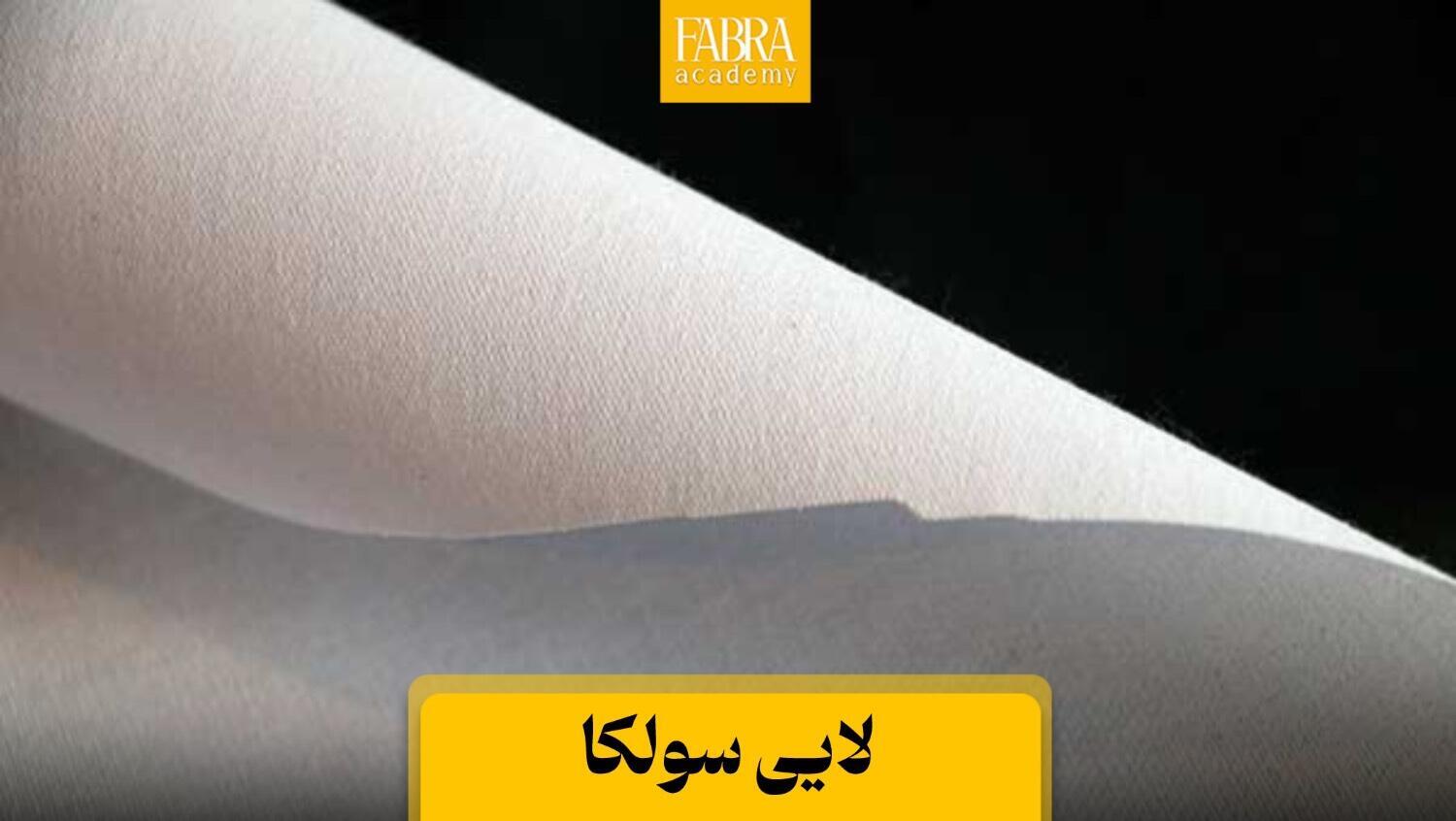 لایی سولکا یا لایی یقه مردانه